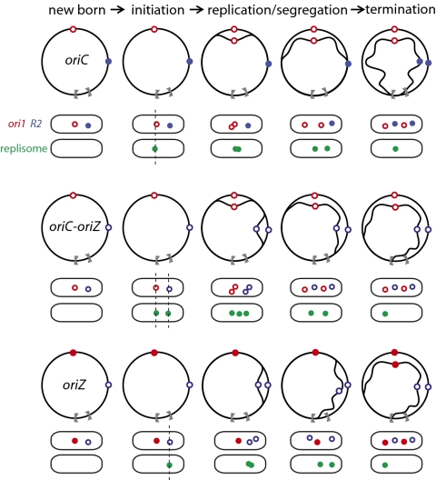 Fig. P1.