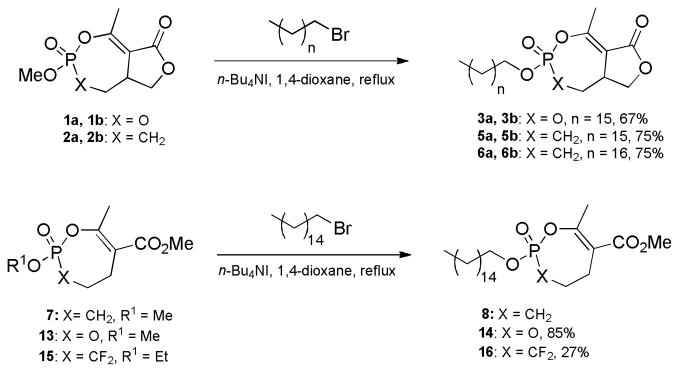 Scheme 3