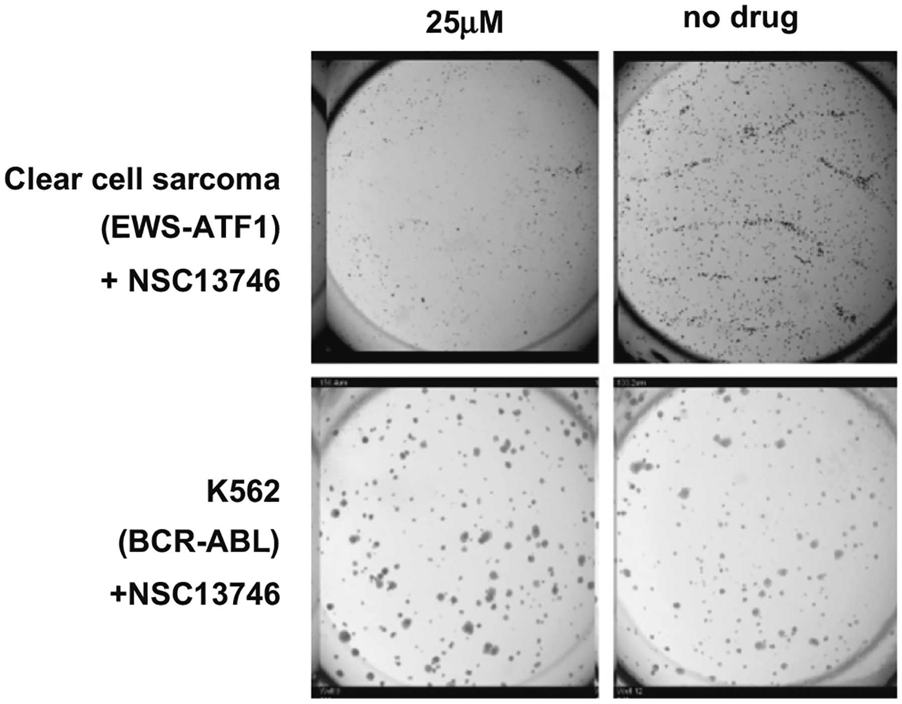 Fig. 9.