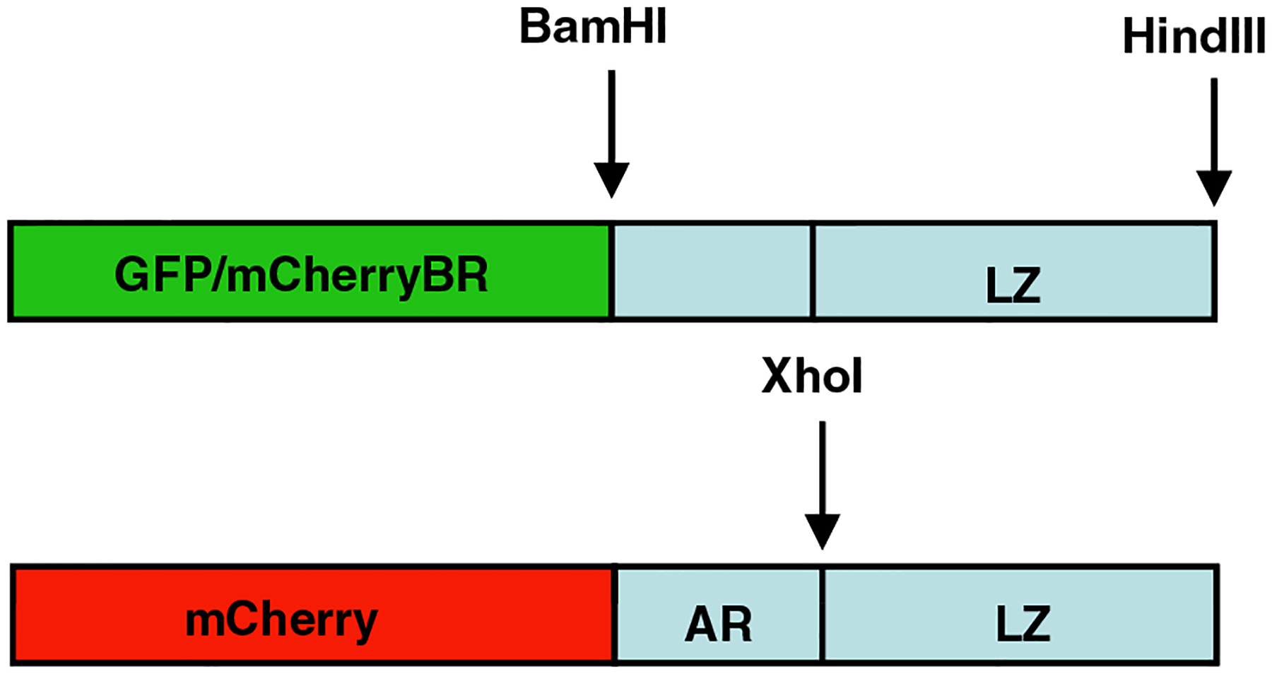 Fig. 1.