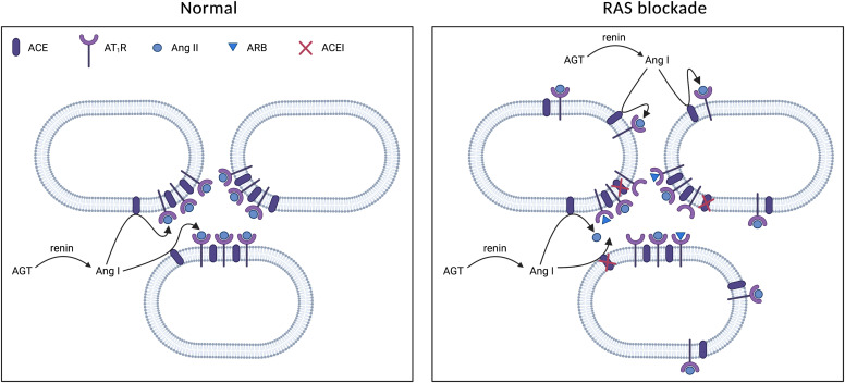 Fig. 11