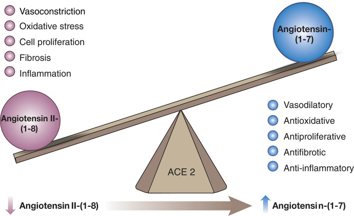 Fig. 12