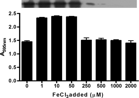 FIG 5