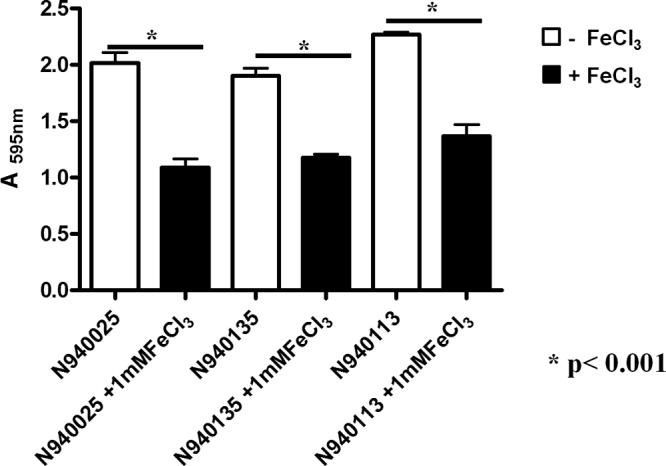 FIG 2