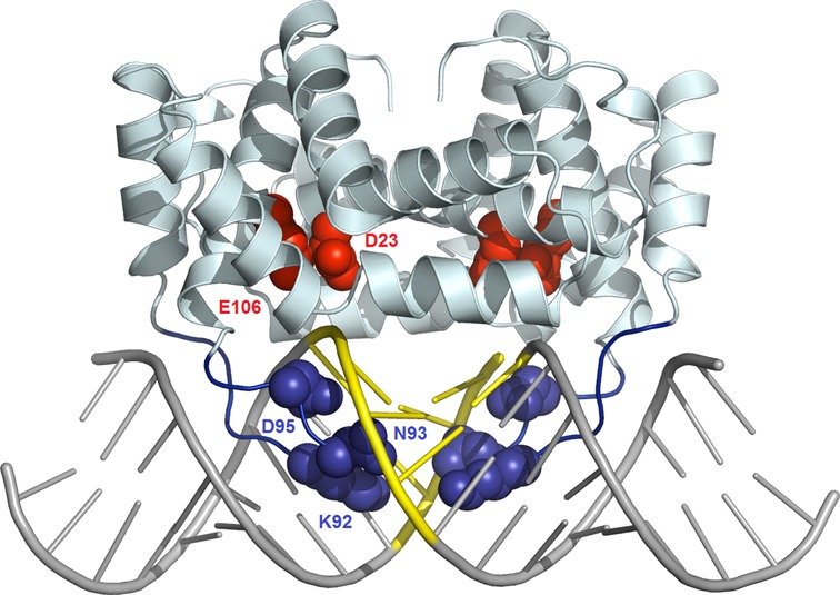 Figure 5.