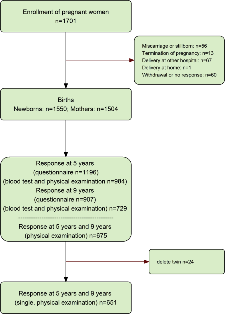 Fig. 1