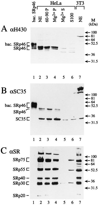 FIG. 5