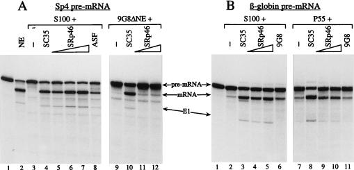 FIG. 7