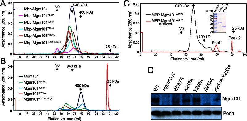 FIGURE 4: