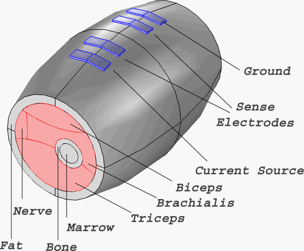 Fig. 1