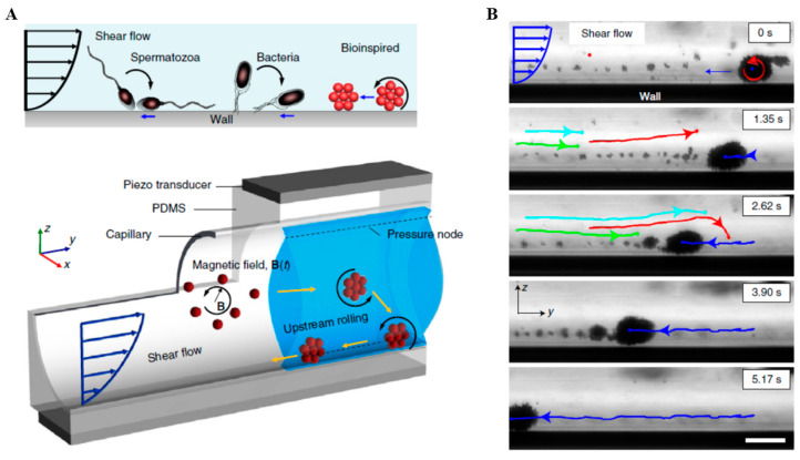 Figure 10