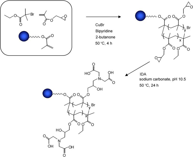 Scheme 1