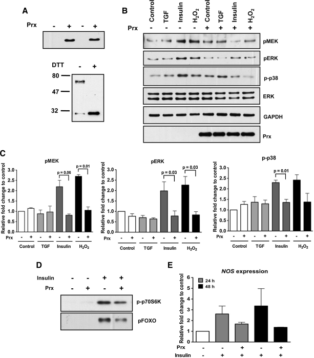 FIG. 7.