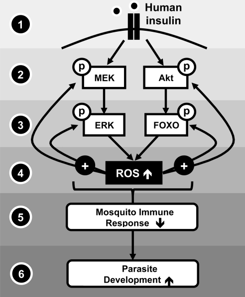 FIG. 8.