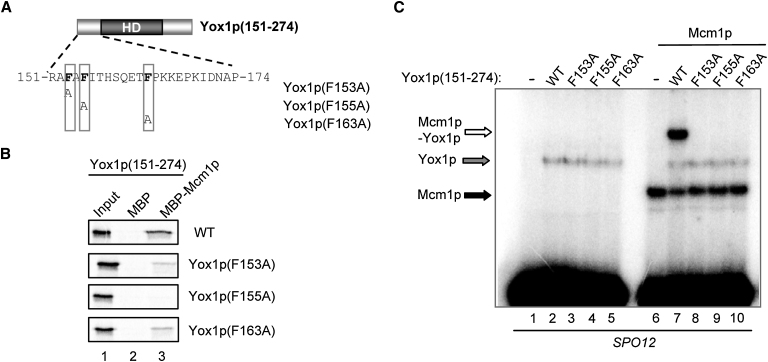 Figure 3