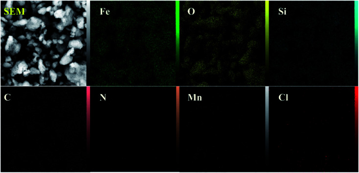 Fig. 6