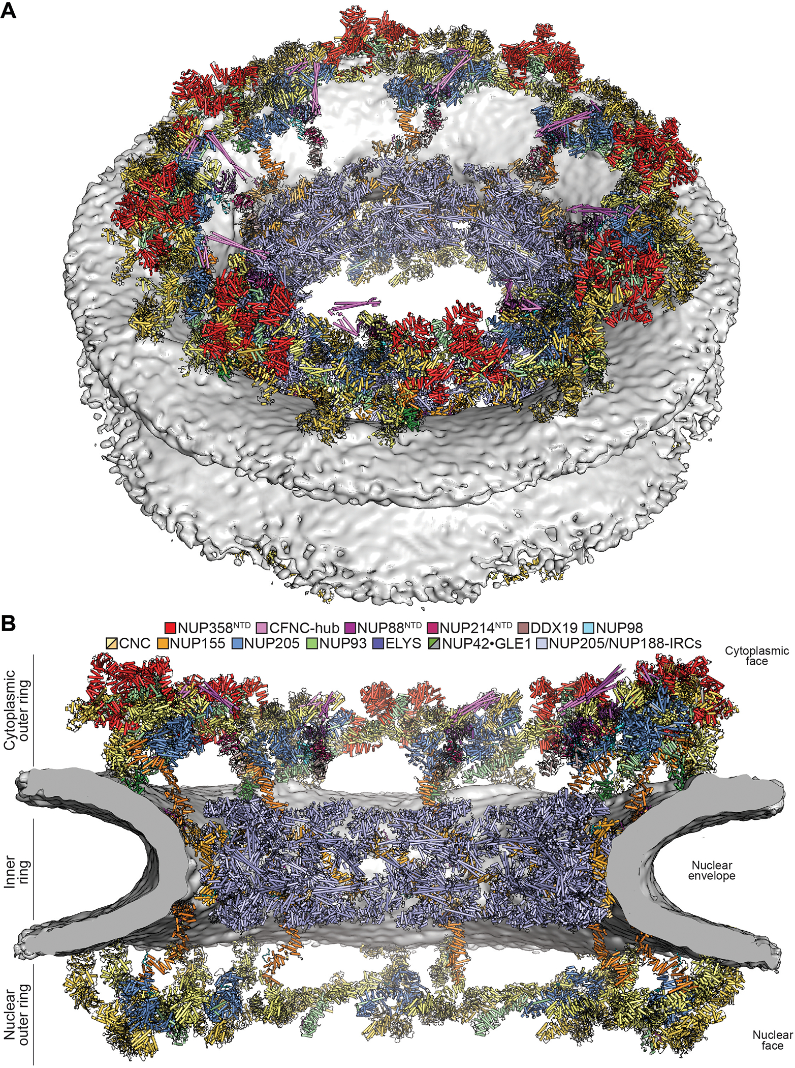 Fig. 8.