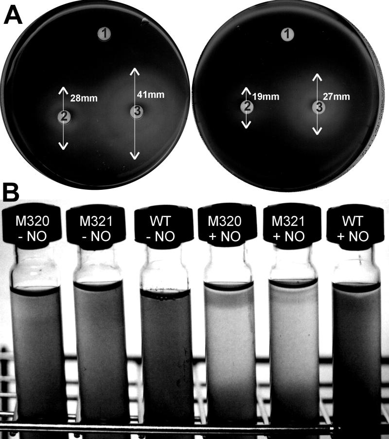 FIG. 4.