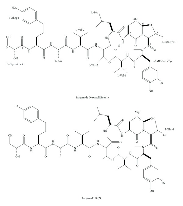 Figure 11