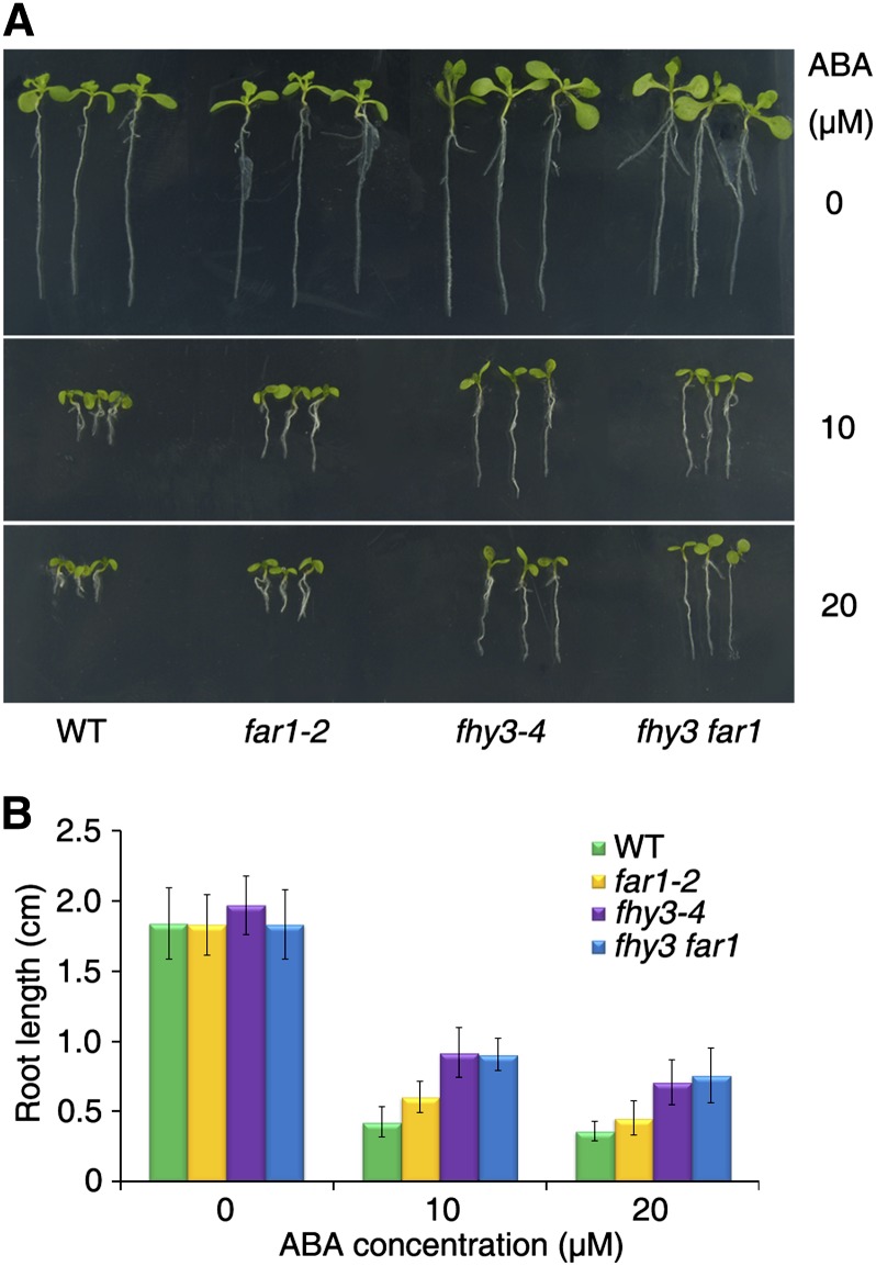 Figure 7.