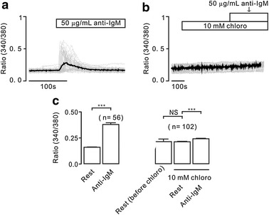 Fig. 6