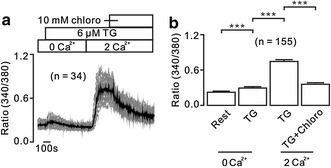 Fig. 2