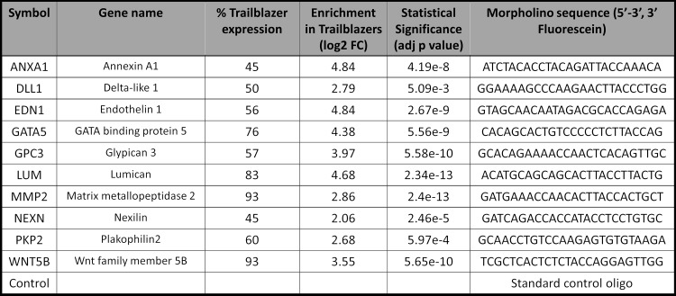 Figure 6—figure supplement 1.