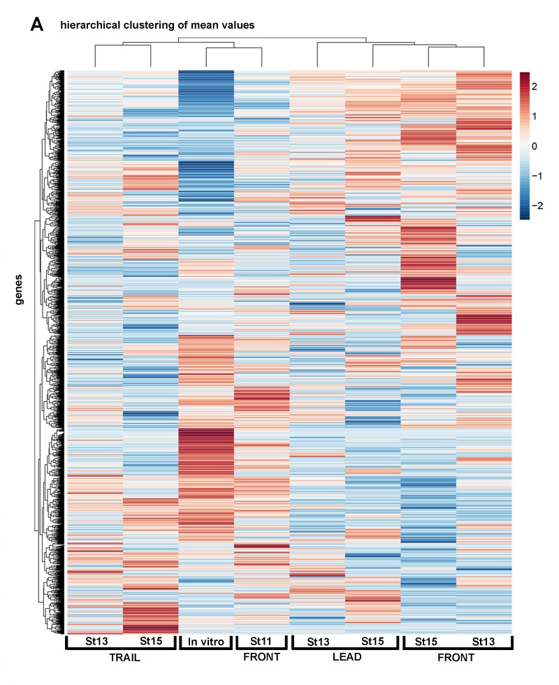 Figure 2—figure supplement 2.