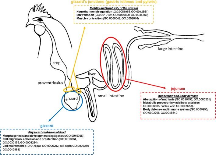 Fig. 3