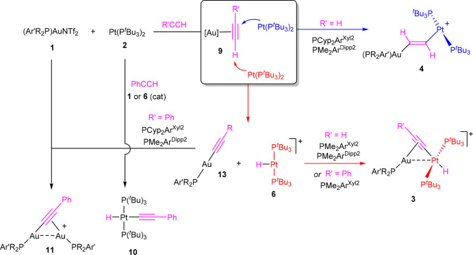 Scheme 5