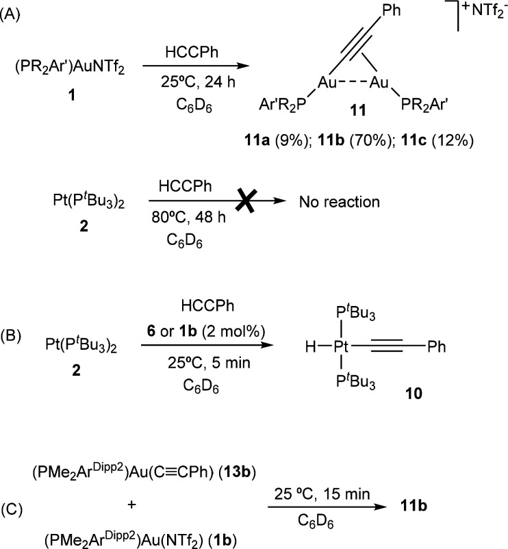 Scheme 4