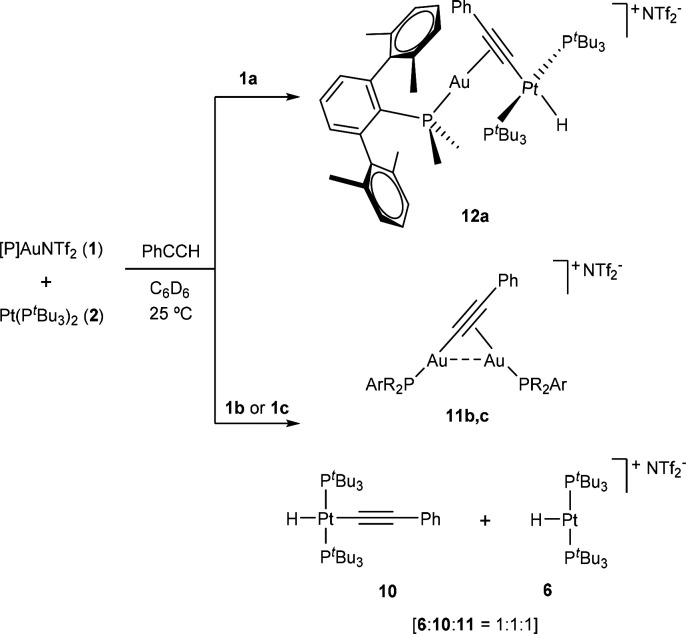 Scheme 3