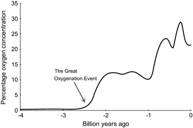 Fig. 1