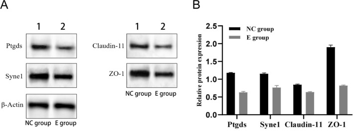 Fig. 5