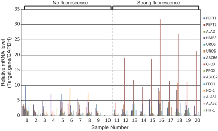 Fig. 3.