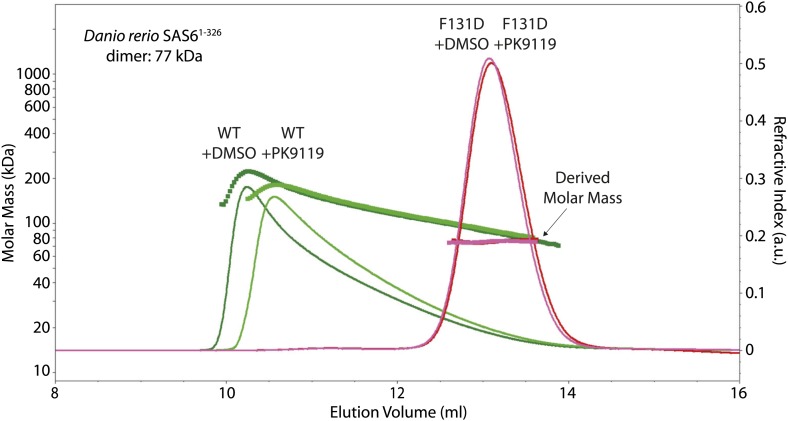 Figure 3—figure supplement 2.