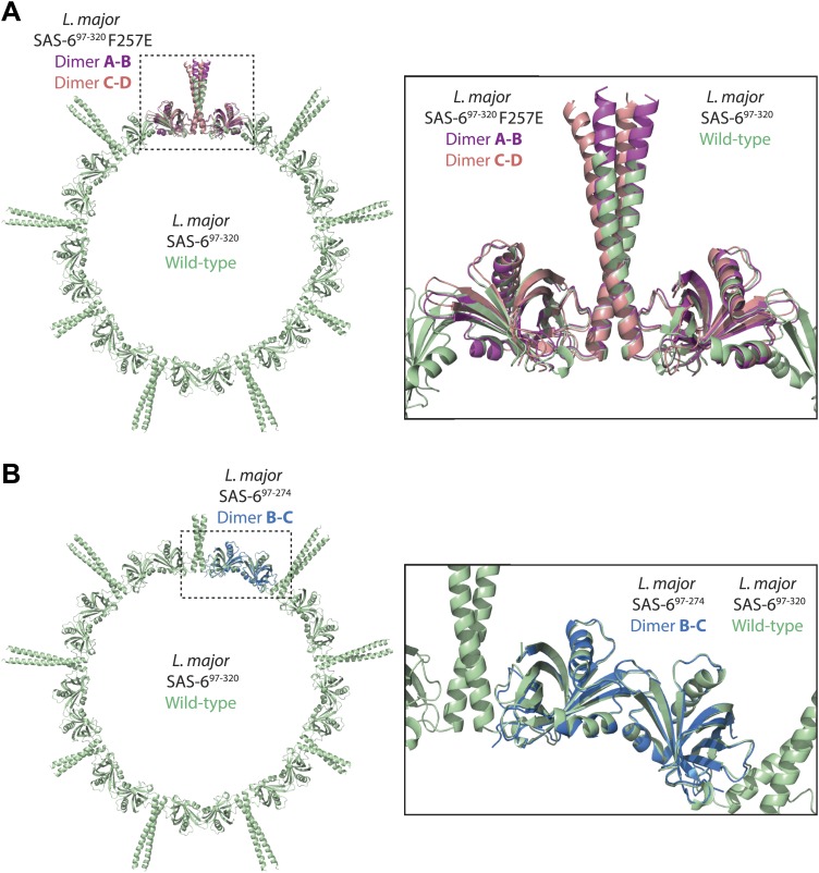 Figure 2—figure supplement 2.