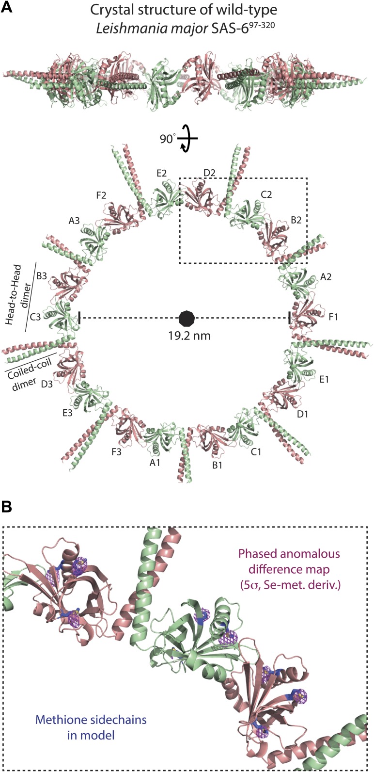 Figure 2.