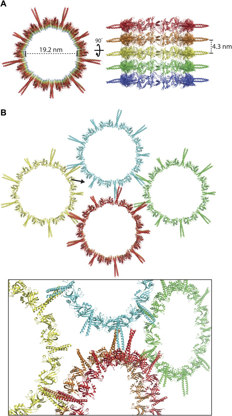 Figure 2—figure supplement 1.