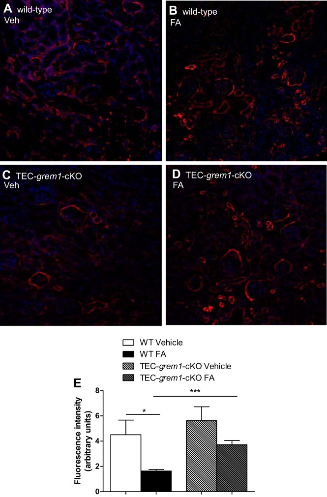 Fig. 13.