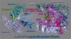 Unlabelled Image