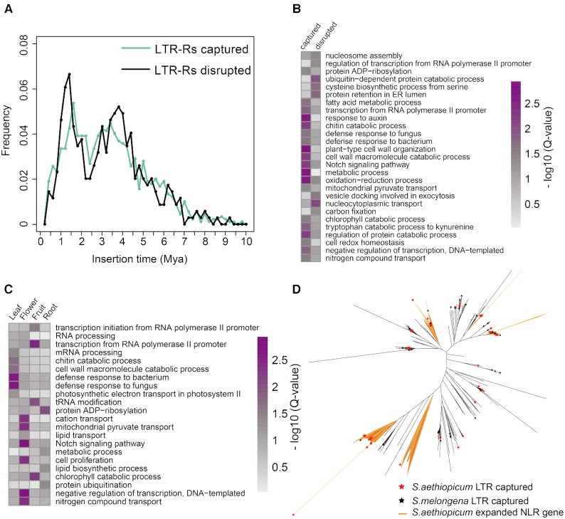 Figure 3: