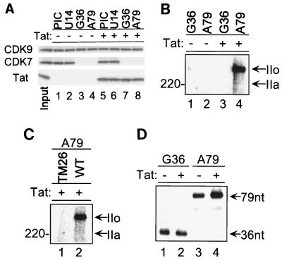 FIG. 7