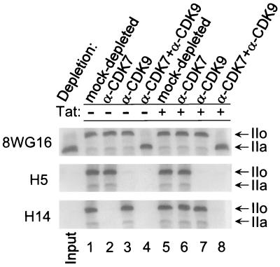 FIG. 5