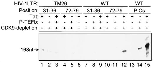 FIG. 8