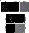 FIG 5