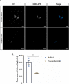 FIG 1