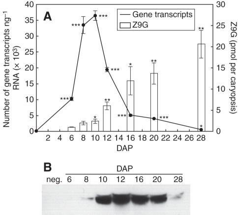 Fig. 8.