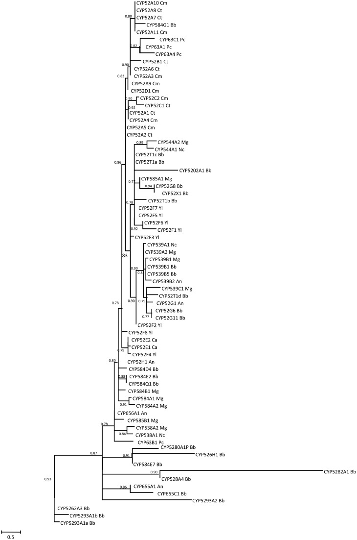 Figure 5