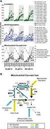 Fig 7